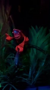 Under the Sea Vibes 🦀🎶 Sebastian’s Sweet Disney Moment #disney #littlemermaid #shorts