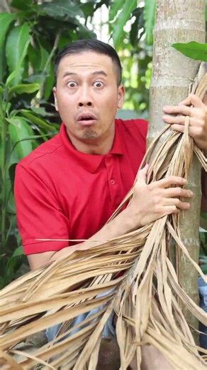 Fearless Tree Climbing Assist #OopsBros