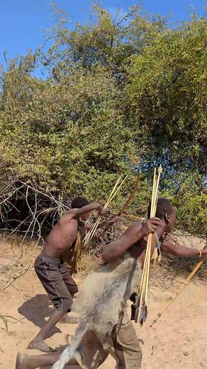 Skilful Bush Hunting with the Hadzabe Tribe