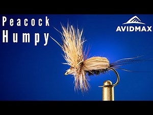 How to tie the Peacock Humpy | AvidMax Fly Tying Tuesday Tutorials