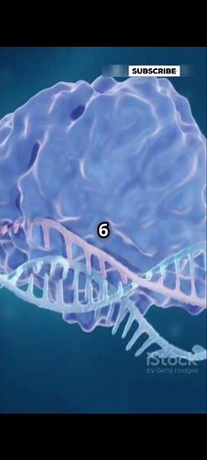 🧬 10 Amazing DNA Facts That Will Blow Your Mind! 🧠