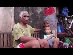 The Green Revolution - Land Pollution A Documentary