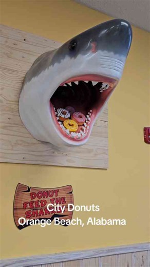 City Donuts, Orange Beach, Alabama