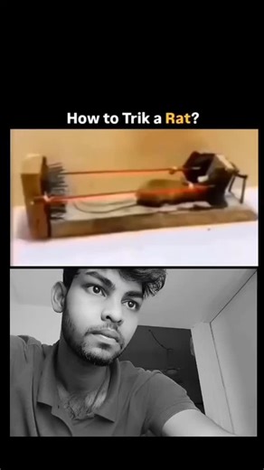 PK on Instagram: "How to trik a Rat 🐀🐁 #trending #reels #instagramreels #viralvideos #trendingreels #viral #instagram #viralreels #comedy #reaction #reelvideo #comedyreels #funnyreels #funny #memes #explore"