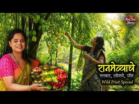 रानमेव्याचे सरबत, जॅम, लोणचे | Wild fruit special | Village Cooking | Red Soil Stories