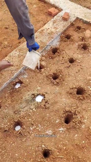 Anti Termite Treatment ✅️ #house #antitermite #termite