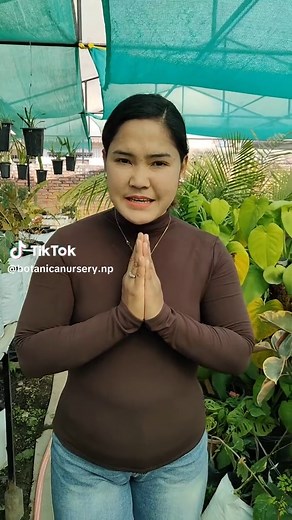 Repotting Exotic Geraniums: A Step-by-Step Guide