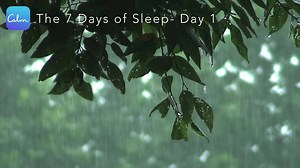 Continue "The 7 Days of Sleep" by downloading the free Calm app. "App of the Year" - Apple 🍎 "World's Happiest App" - Humane Tech 😊 | Calm