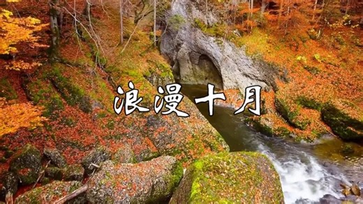 一首萨克斯轻音乐，旋律美妙绝伦，令人陶醉