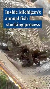 Inside Michigan’s annual fish stocking process