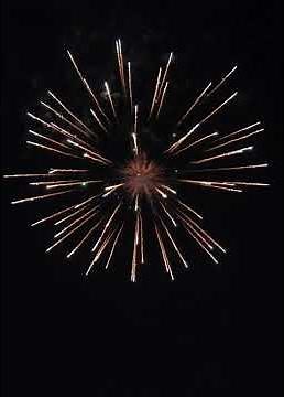 4”25 SHOT DISPLAY SHELL | RSPYRO #buntongfireworks #fireworks #fireworksdisplay