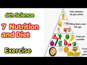 7 Nutrition and Diet exercise | 6th Science