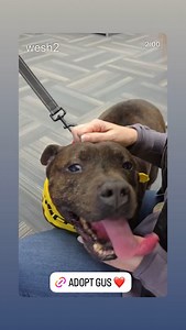 WESH 2 News on Reels | Facebook