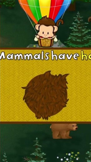 Monkey Preschool Animals 🐵🐑🦍 #animals #learning #forkids