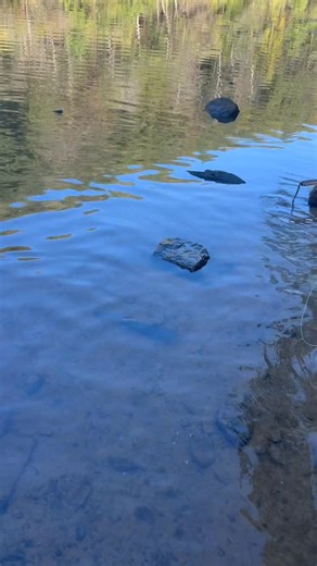 13 reactions | Ryder's Run Guide Service on Reels | Facebook