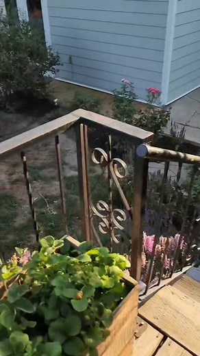 I must miss summer around the same time every year because "on this day' posts come up around the same time every year.❤️. | Thor the Brown Boston