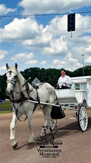 Honoring a Life Well Lived | Beautiful Horse & Carriage Homegoing Service #funeral