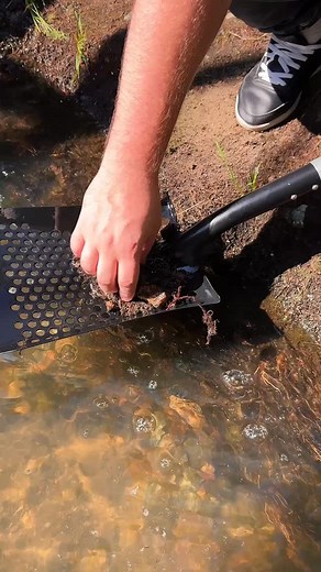 CKG Carbon Sand Sifter Shovel – the ultimate tool for beach treasure hunting🔥 | CKG Metal Detecting