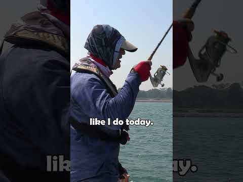 River fishing tips for perch fishing