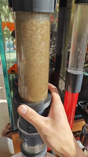 A&Aqua Pro on Instagram: "Magnetic Fish Toilet pre-filter,Quickly separate the fish waste, If you want it, leave the word "Link" in the comments section.#fishkeeper #aquascape #aquaX #AquaLover #reelsfacebook #fishtank #aquariumsupplies #aquariumlife #aquarium"