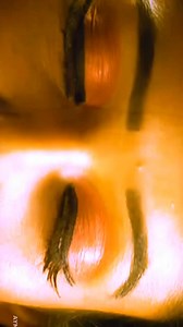 39K views · 249 reactions | Nayanthara - The OG Sx god | Actress Trending | Facebook