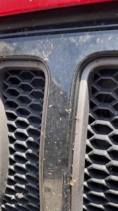 Bugs on your front end taking away at the overall look of your ride? Don’t use harsh cleaners that can damage or scratch your ride to remove them, use Bug & Tar Remover Wash! Bug & Tar Wash quickly breaks down bugs and tar to save exterior surfaces from permanent damage caused by corrosive insects and swirling and scratching caused by intense scrubbing during washing. Stay tuned until the end of the video to see these incredible results! https://www.chemicalguys.com/bug-tar-remover-heavy-duty-ca