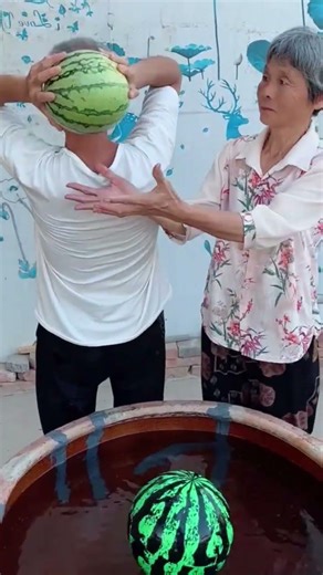 시골의 재밌는 영상이 매일 당신을 행복하게 합니다 🤣 #시골 웃긴 영상 #웃긴영상 #재미있는