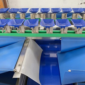 [Hot Item] Two-Channel Oyster Grading Machine, Oyster Weight Sorting Processing Line