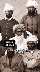 ABC Asia on Instagram: "🐫 Happy World Camel Day! Did you know Australia is home to the largest feral camel population in the world? Let's revisit this mini history lesson from Aslan Pahari."