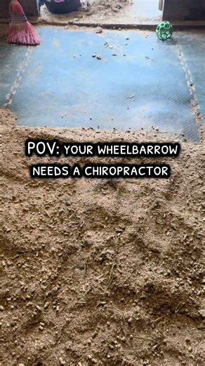 Bah she’s got another winter in her **flexes massive left bicep** #POVTikTok #HorseTok #YardLife #Relatable #SmallCreator