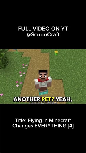 Pets over gear🤣🥀 #minecraft #minecraftmemes