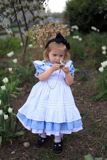 Alice in Wonderland Dress for Girls – Blue Storybook Princess Dress - Etsy
