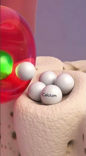The 3 Most Important Vitamins After Menopause 😳 (3D Anatomy Explained)