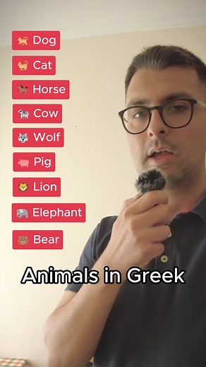 156K views · 3.7K reactions |  Let's learn the animals in Greek! #greek #greece #learngreek #greekfood #Ελλάδα #easygreek #greekvocabulary #greekquotes #greeksummer #greeklife #athens #greekdiaspora #greekslang | Glossonauts | Facebook