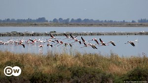 Albania’s airport by a national park