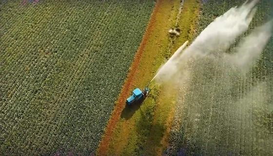 How can we solve both food waste and world hunger?