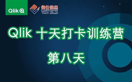 Qlik10天打卡训练营——8天
