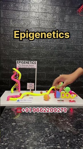🧬 EPIGENETICS MADE EASY for Medical Students | NEET 2025 Biology Preparation