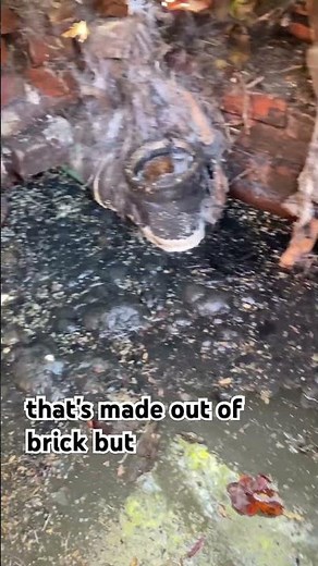 Fascinating Look at an Old Brick Septic Tank