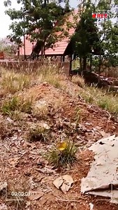 COVO ARCHITECTURAL STUDIO 2nd Floor, Vellariyil Gardens, MM Ali Road...