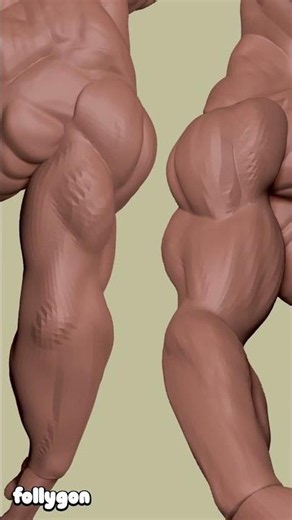 Building Arm Anatomy
