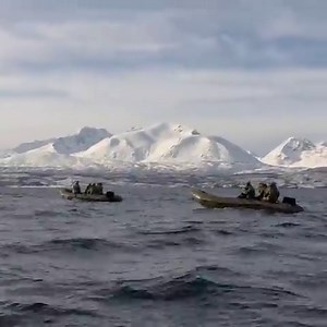 46K views · 2.1K reactions | ️ A potent combination... Royal...