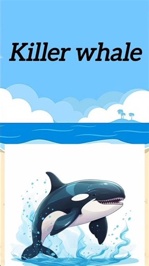 Learn sea animals / Learing Toddlers / English Letters / mamus kids tv