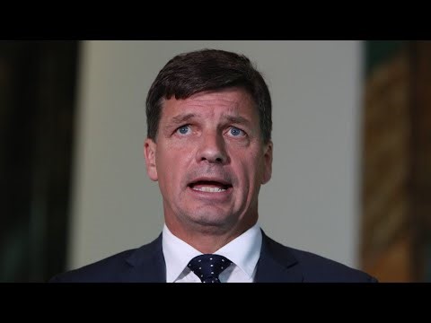 ‘Let’s see how many weeks they last’: Angus Taylor’s new frontbench under scrutiny