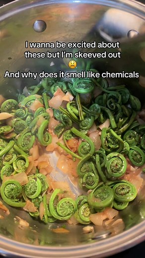 Understanding Fiddleheads: Benefits and Concerns
