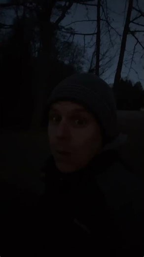 Where Are You Owl? ￼