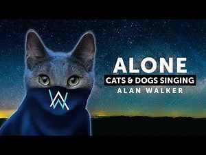 Cats & Dogs Singing Alone - Alan Waker