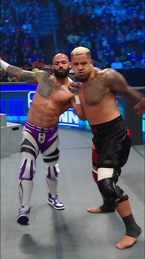 Street Fighter things | WWE