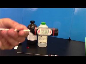 Intermolecular Forces