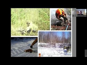 40 Introduction to trapping fur bearers